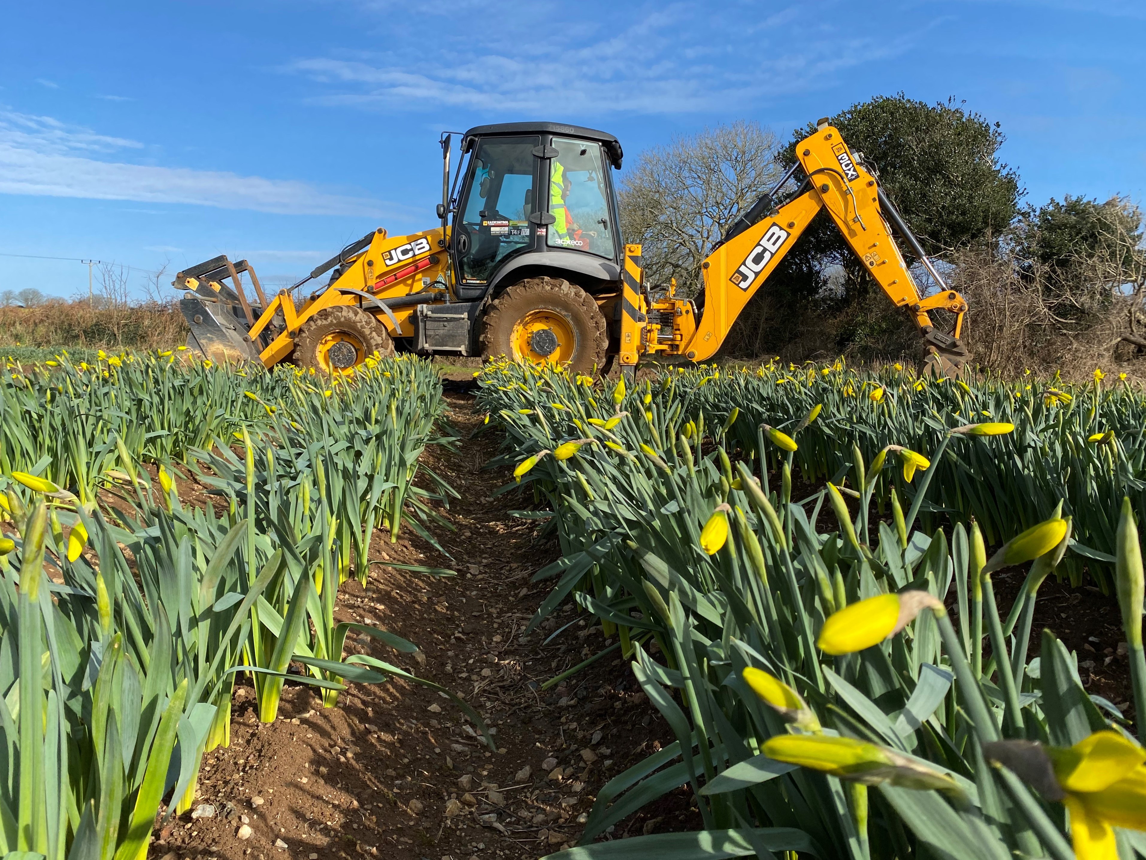 Ruddlesden geotechnical photo competition of year 2021
