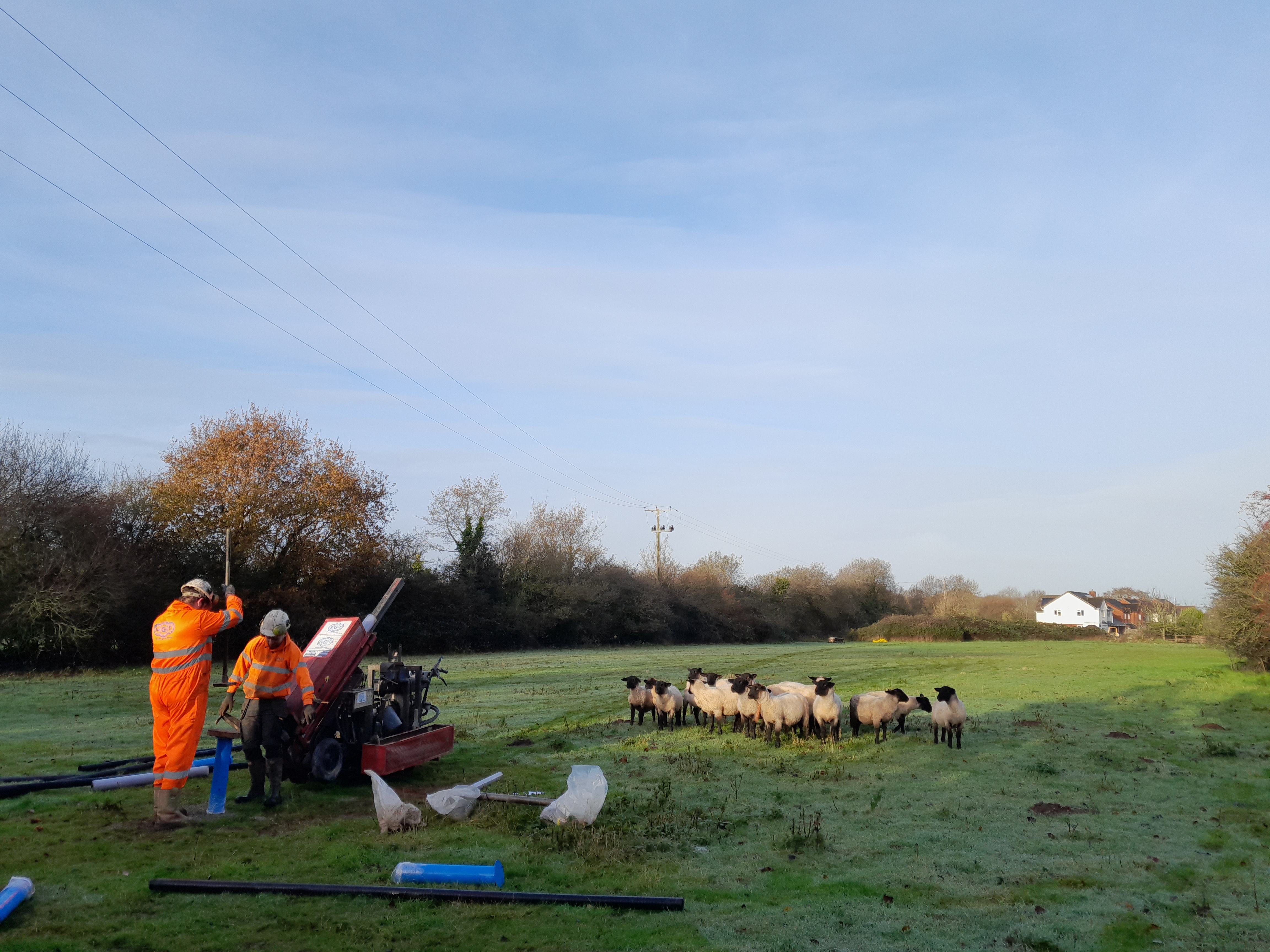 Photo of the Year Competition