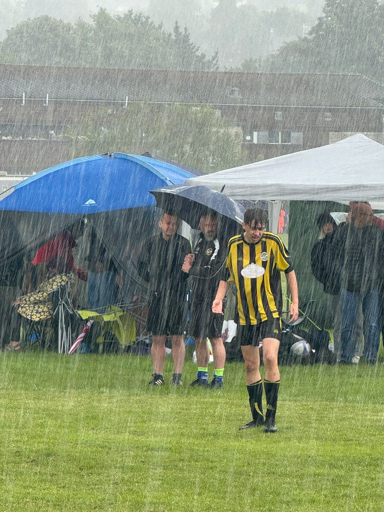 More investment in grass or artificial pitches for grassroots football?