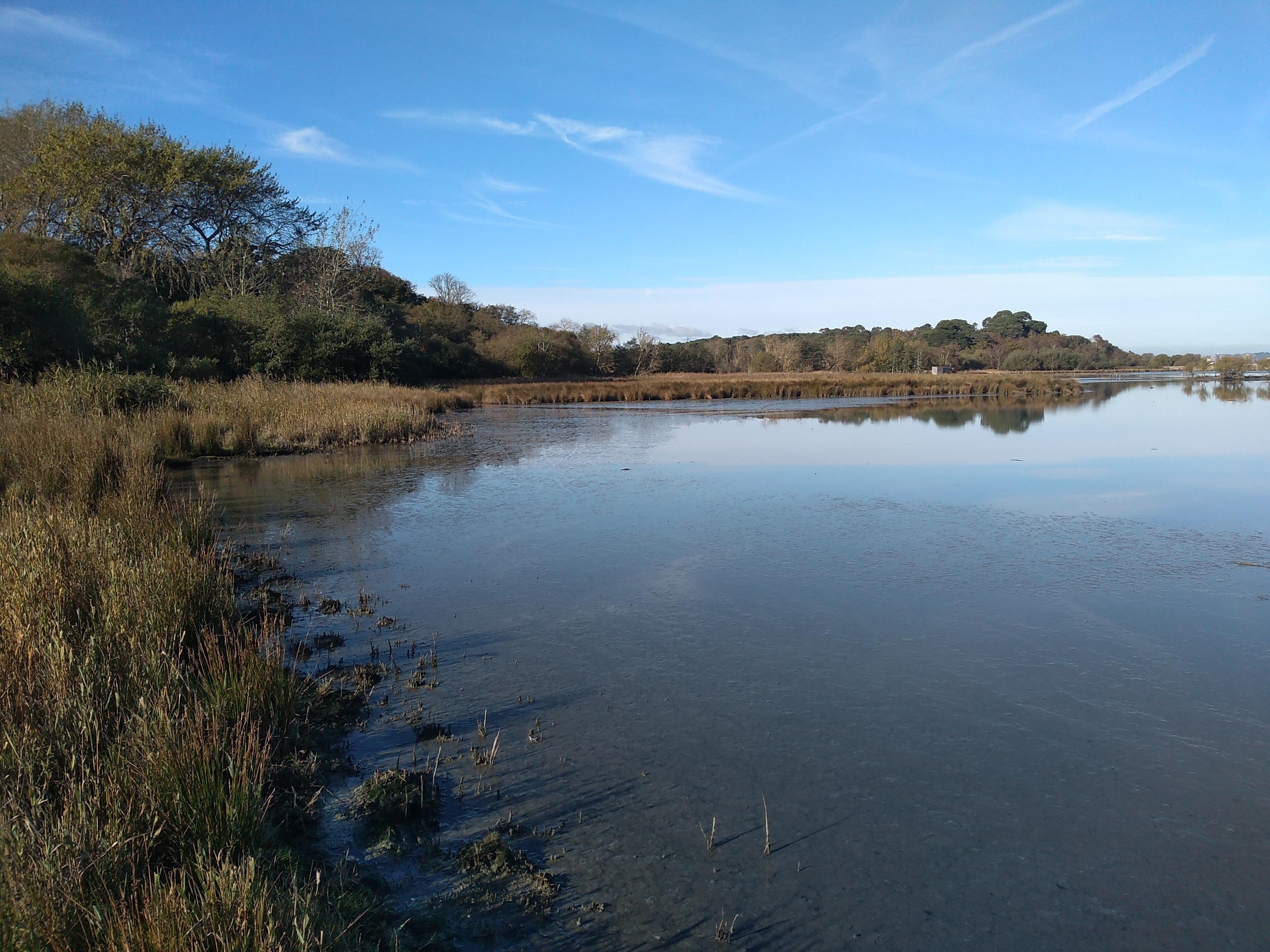 New Wildlife Observatory on Brownsea Island
