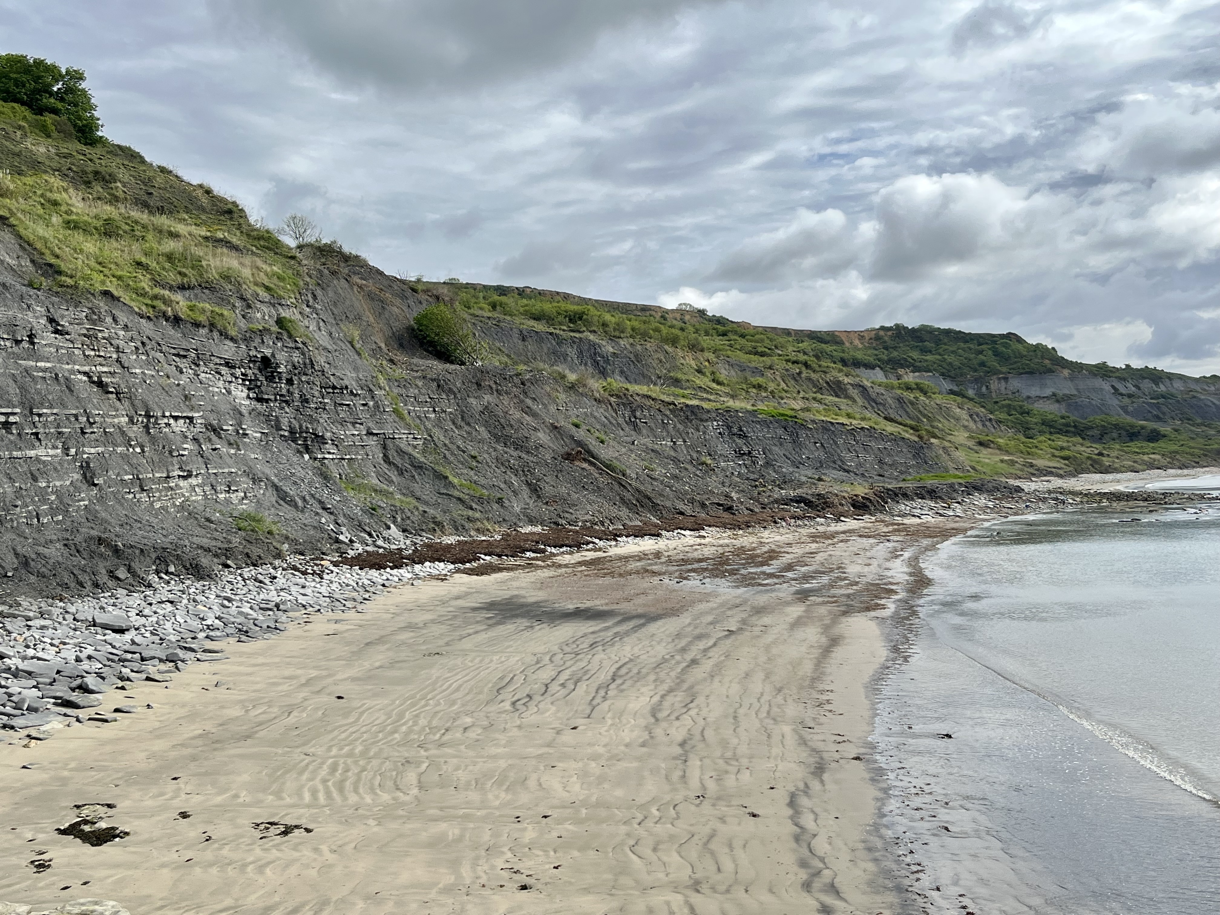 Lyme Regis Fieldtrip
