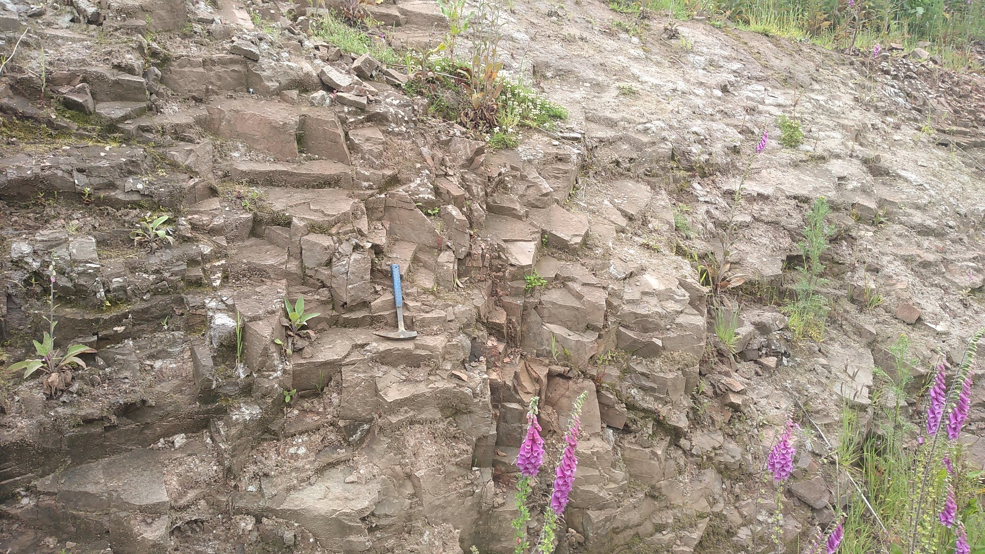 Venerable Volcanics!