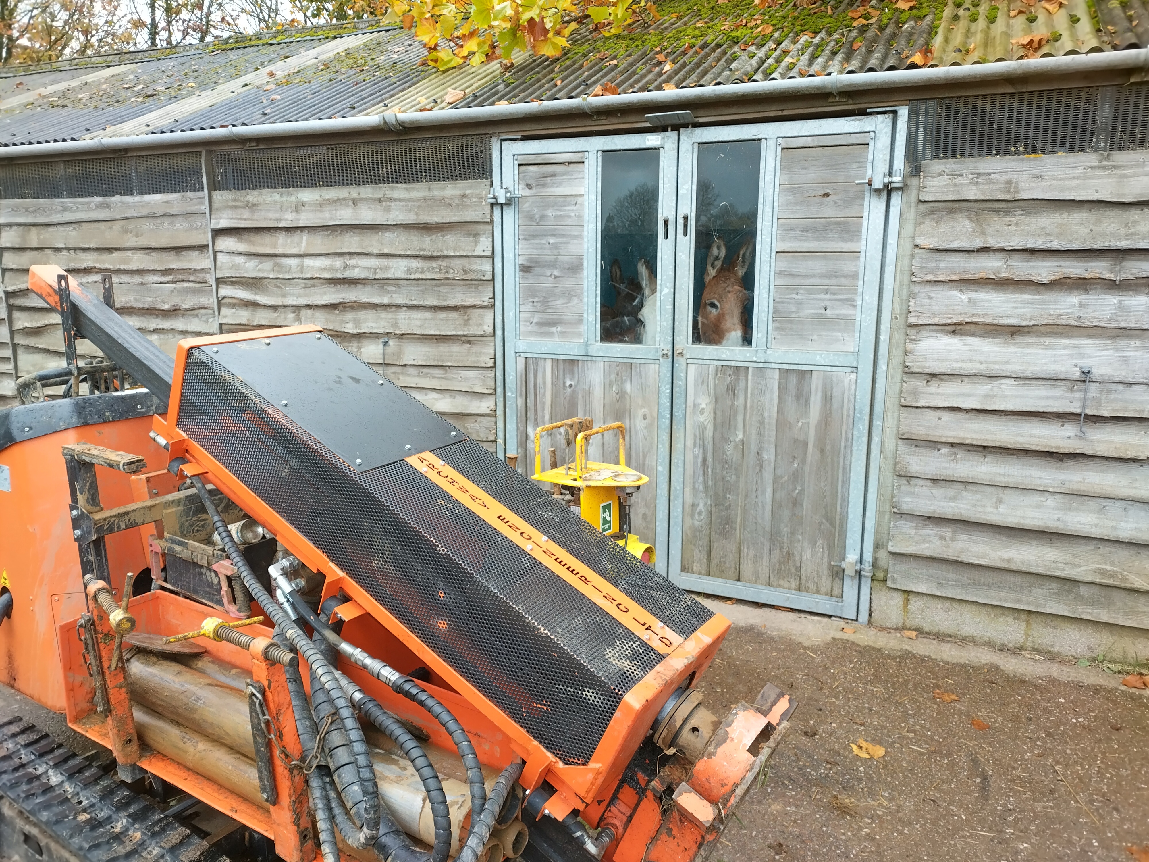 Photo of the Year Competition