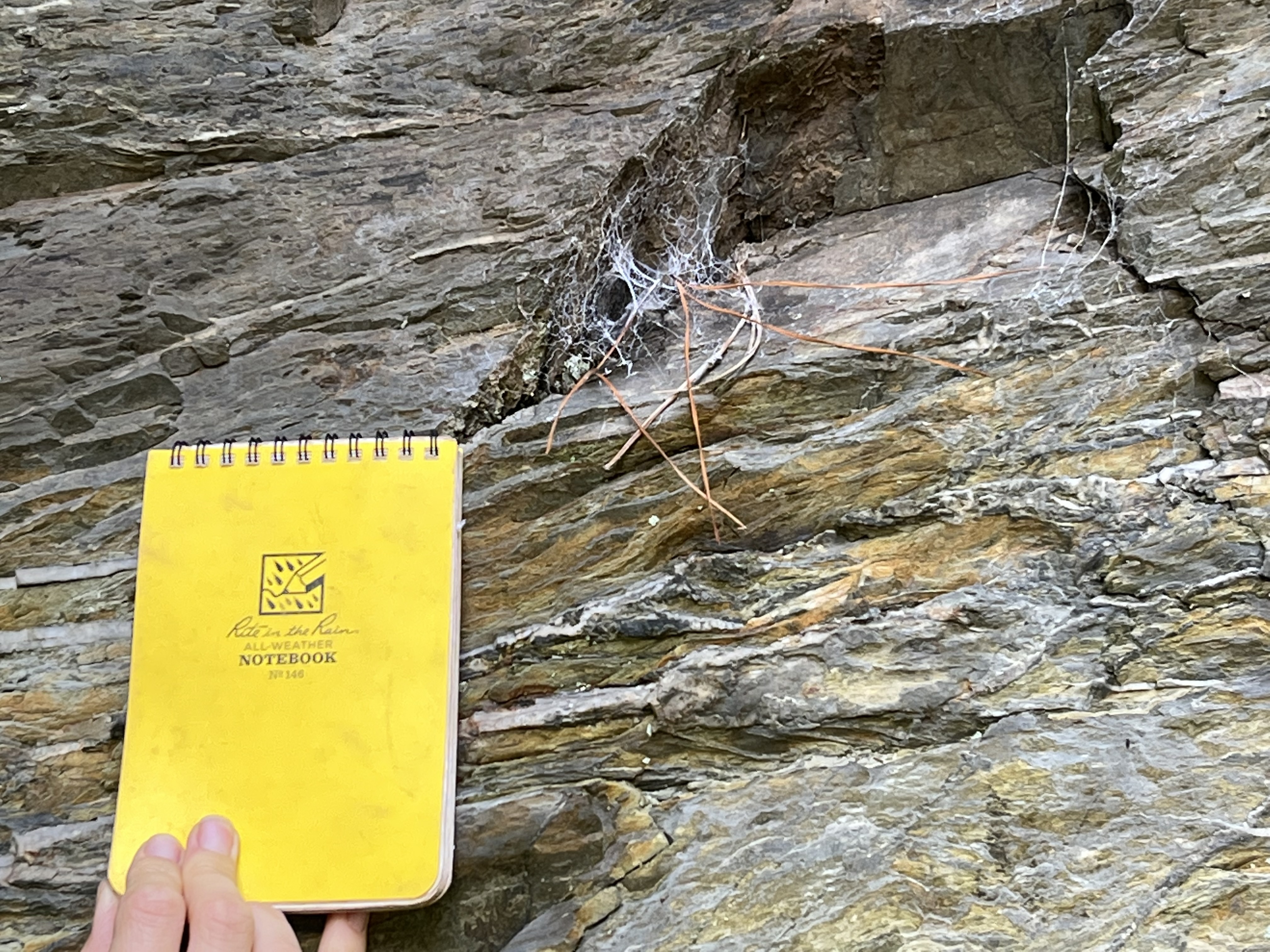 Proposed Inclined Tram/ Hill Lift in Cornwall