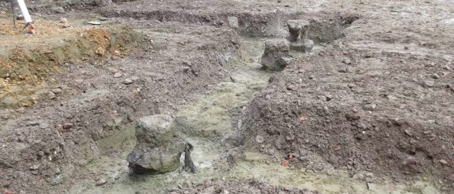 26-chard-foundations-1