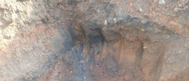 36-bridge-house-clyst-st-mary-3