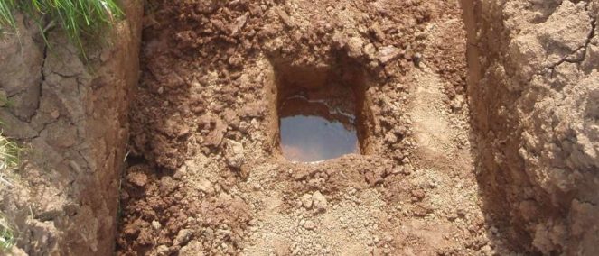 40-percolation-test-3