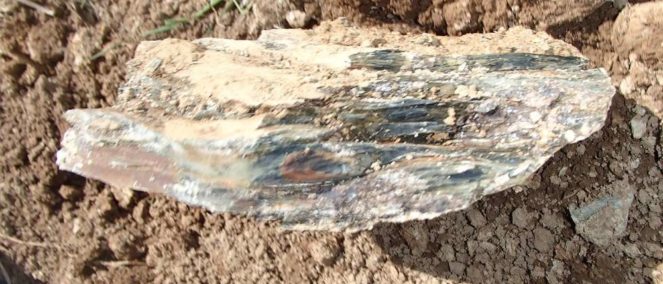 59-trial-trench-mount-crescent-1